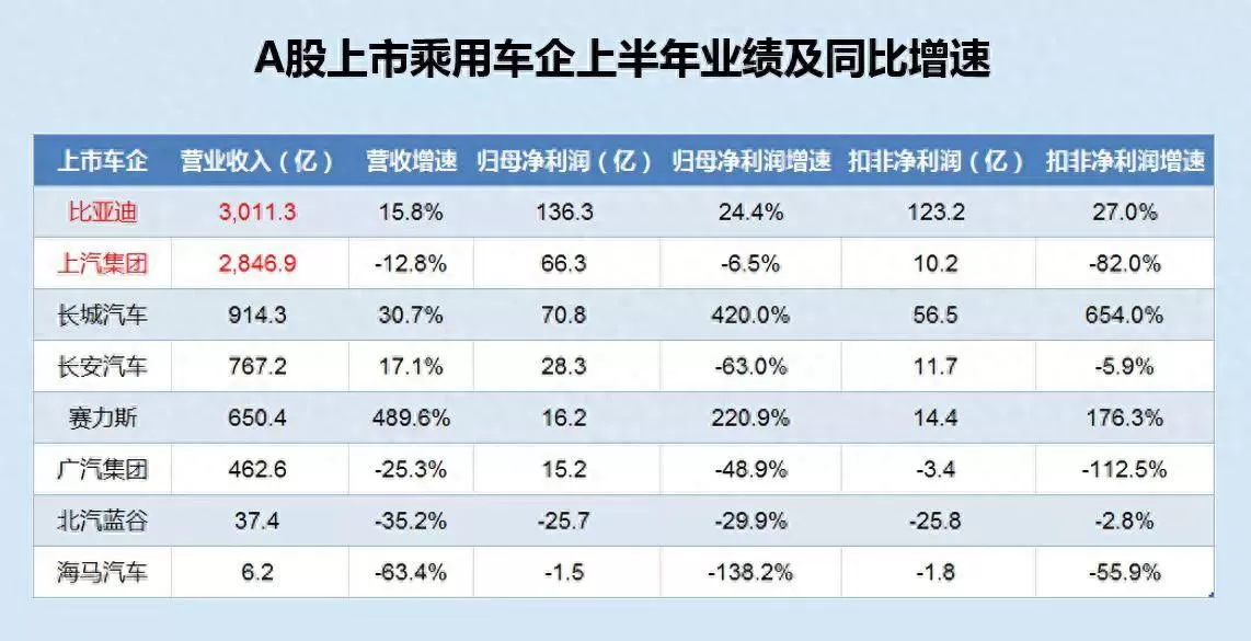 BYD's Mid-Year Financial Report: A Deep Dive Behind the Numbers